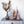 Load image into Gallery viewer, Wood Trees w/ Gold Glitter, Set of 3