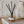 Load image into Gallery viewer, Luxury Getaway Reed Diffuser