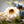 Load image into Gallery viewer, Summer Wildflower Accent Ring